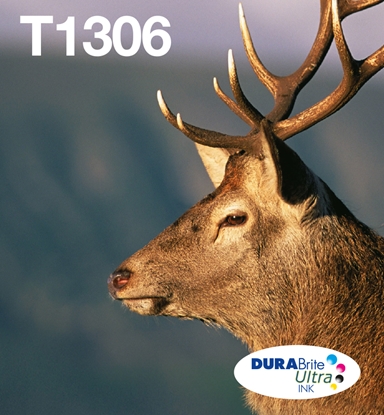 Attēls no Epson Stag Multipack 3-colours T1306 DURABrite Ultra Ink EasyMail
