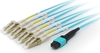 Picture of Equip MTP/MTP Trunk Fiber Optic Patch Cable, OM4, 15m