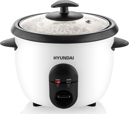 Picture of Eta Ryowar Hyundai RC100 biay