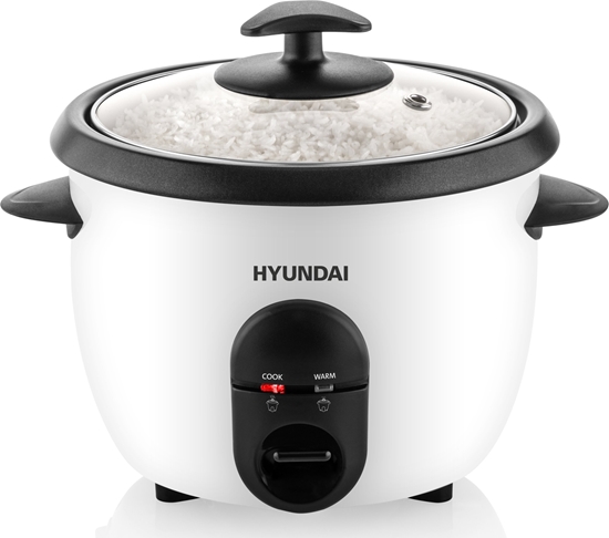 Picture of Eta Ryowar Hyundai RC100 biay