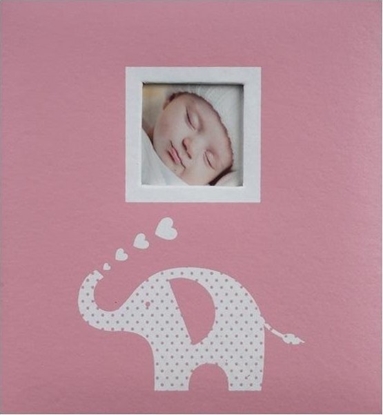 Picture of FANDY Fotoalbum kieszeniowy szyty Fibi 2