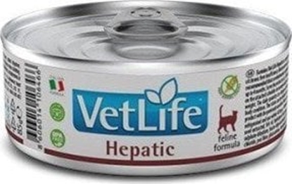 Picture of Farmina FARMINA VET LIFE NATURAL DIET CAT HEPATIC 85g