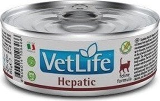 Picture of Farmina FARMINA VET LIFE NATURAL DIET CAT HEPATIC 85g