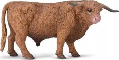 Attēls no Figurka Collecta COLLECTA BYK SZKOCKIEJ RASY WYYNNEJ