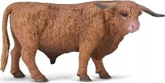 Picture of Figurka Collecta COLLECTA BYK SZKOCKIEJ RASY WYYNNEJ