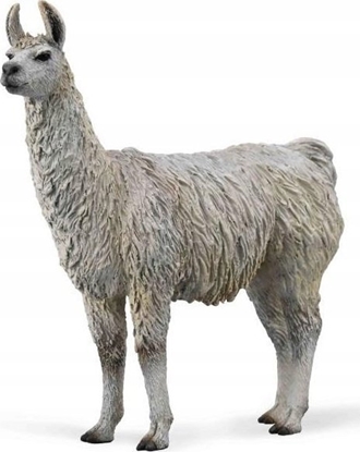 Attēls no Figurka Collecta COLLECTA LAMA