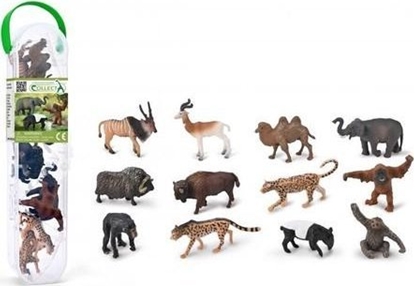 Attēls no Figurka Collecta COLLECTA Laukini gyvn rinkinys Mini 12vnt., A1212