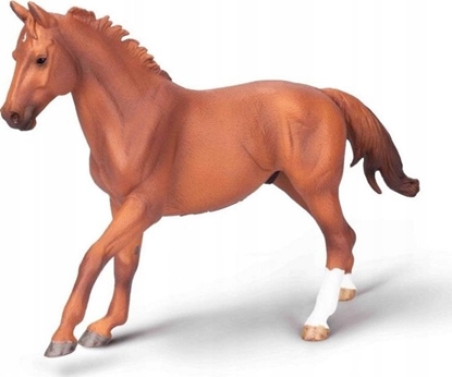 Изображение Figurka Collecta COLLECTA OGIER PHAR LAP MACI KASZTANOWEJ