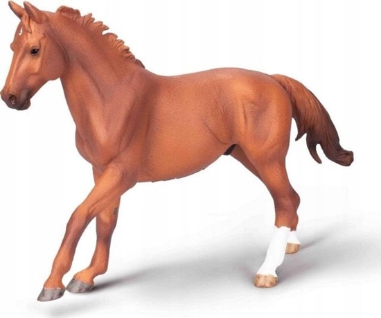 Изображение Figurka Collecta COLLECTA OGIER PHAR LAP MACI KASZTANOWEJ