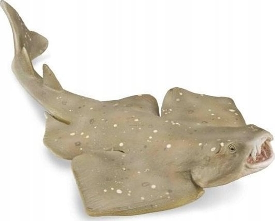 Изображение Figurka Collecta COLLECTA RASZPLA ZWYCZAJNA