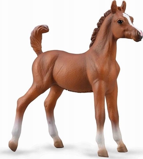 Изображение Figurka Collecta COLLECTA REBI ARABSKIE MACI KASZTANOWEJ