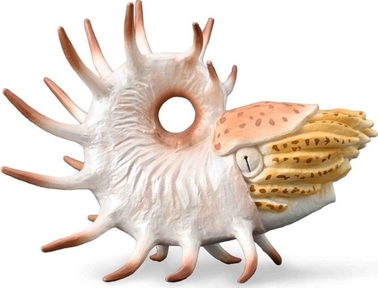 Изображение Figurka Collecta Cooperoceras