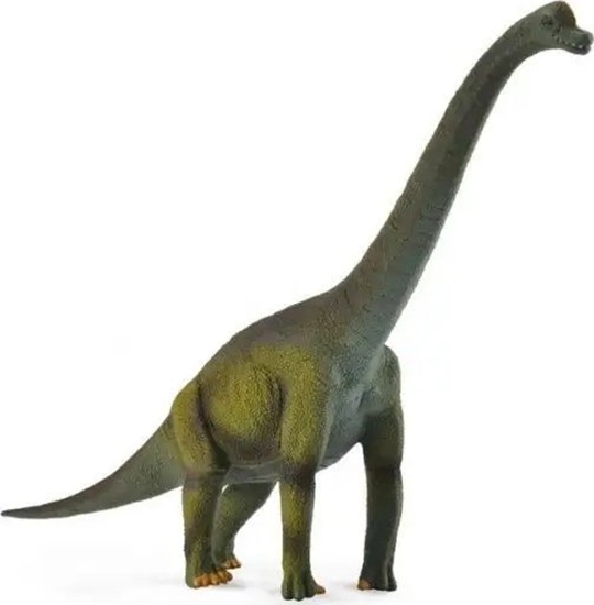 Изображение Figurka Collecta Dinozaur Brachiozaur (004-88121)