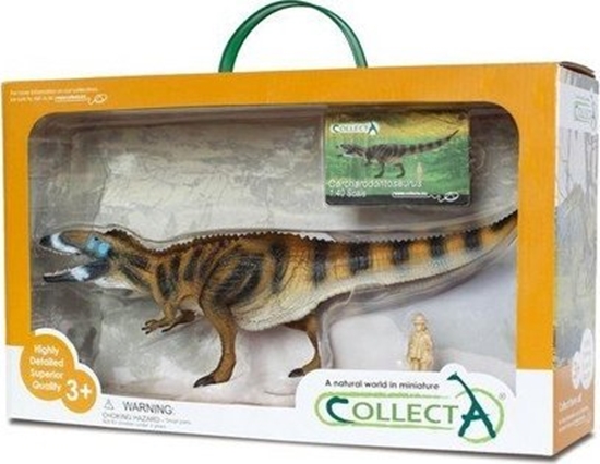 Изображение Figurka Collecta Dinozaur Karcharodontozaur w opakowaniu
