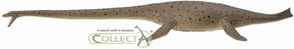 Изображение Figurka Collecta Dinozaur Thalassomedon 1:40 (004-88760)