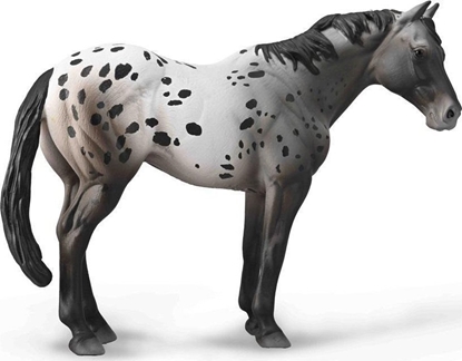 Изображение Figurka Collecta Niebieski Deresz Appaloosa