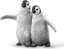 Picture of Figurka Collecta Pingwin Cesarski mode