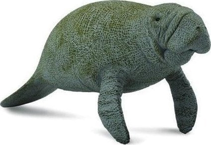 Picture of Figurka Collecta SO MORSKI