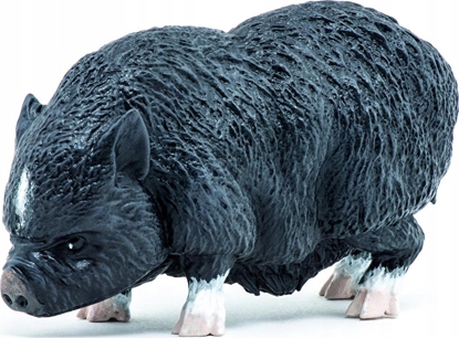 Attēls no Figurka Hasbro Wietnamska ¶winia zwisobrzucha