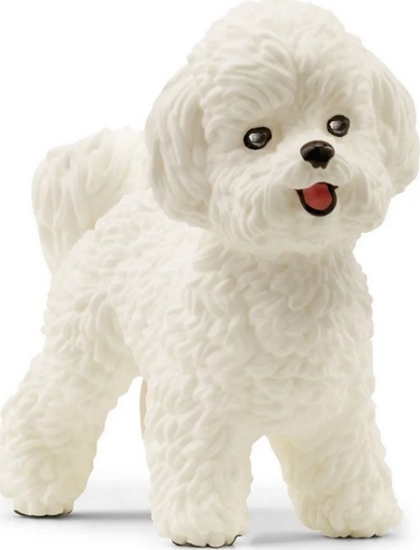 Picture of Figurka Schleich Farm World - Pies rasy Bichon Frise (13963)