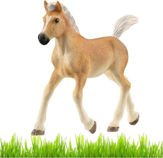 Picture of Figurka Schleich Konik figurka dla dzieci zabawka rebak Haflinger