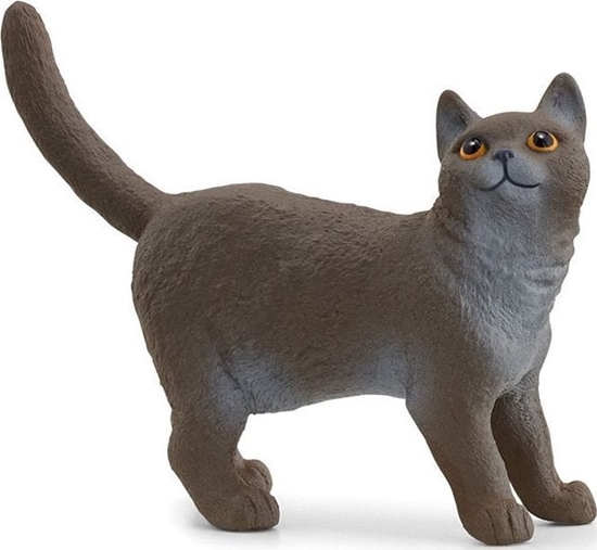 Picture of Figurka Schleich Schleich 13973 Kot brytyjski króktowosy