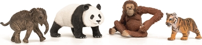 Picture of Figurka Schleich Zestaw startowy Wild Life Azja
