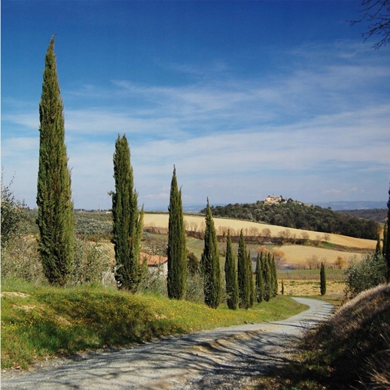 Picture of Filtr Walimex walimex pro Pol zirkular    67mm vergütet