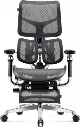 Picture of Fotel Diablo Chairs BRAVE Fotel biurowy ergonomiczny V-KINETIC czarny