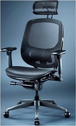 Picture of Fotel Razer Fujin Pro Czarny (RZ38-04940100-R3G1)