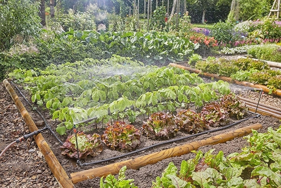 Picture of Gardena Micro-Drip-System Set  60qm