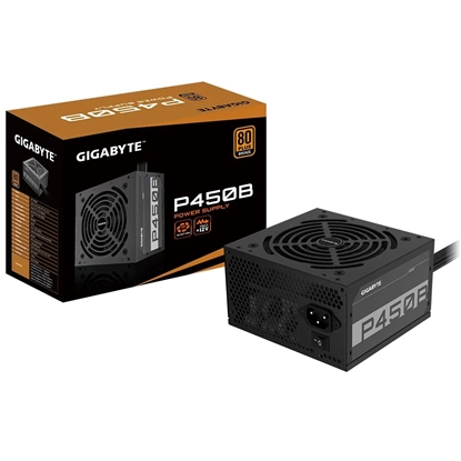 Изображение Gigabyte P450B