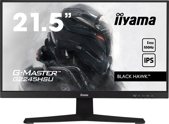 Picture of Monitor iiyama G-Master G2245HSU-B2 Black Hawk