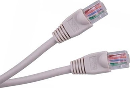 Picture of Import Patchcord kabel UTP 8c wtyk-wtyk 0,5m Cu