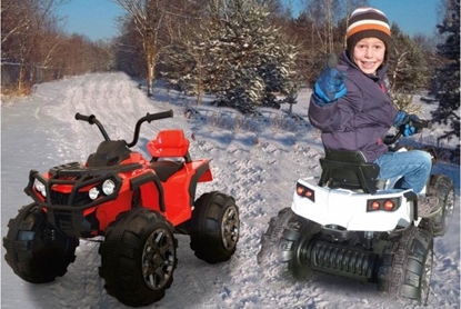 Picture of Jamara Jamara Ride-on Quad Protector 12V rot                     3+