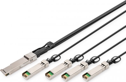 Picture of Digitus 40G QSFP+ to 4XSFP+ Direct Attach Cable 3m