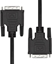 Attēls no Kabel ProXtend DVI-D - DVI-D 1 m czarny (DVI-D 18+1 Cable Black 1m)