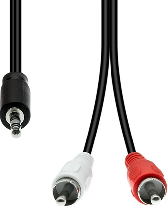 Attēls no Kabel ProXtend Mini-Jack 3-Pin to 2 x RCA Cable M-M Black 2M