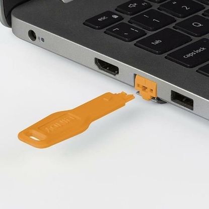 Изображение Kabel USB LINDY 47896