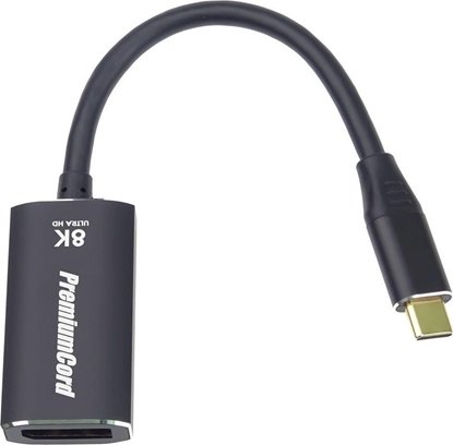Picture of Adapter USB PremiumCord  (ku31dp10)