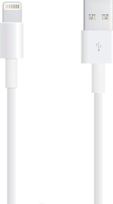 Изображение Kabel USB Vega USB-B - Lightning 1 m Biay (26696)