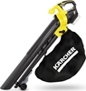 Picture of Karcher Odkurzacz do lici BLV 18-200 Battery (1.444-100.0)