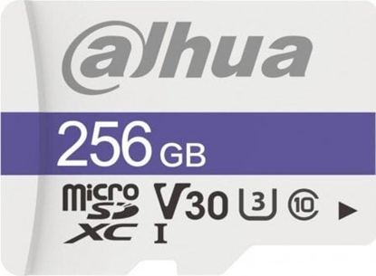 Attēls no Karta Dahua Technology TF-C100 MicroSDXC 256 GB Class 10 U3 V30 (TF-C100/256GB)