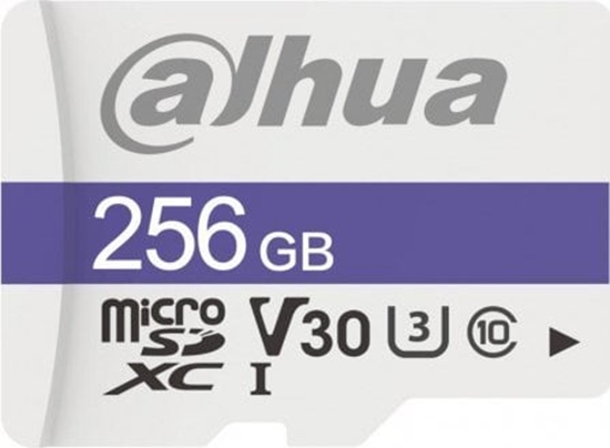 Picture of Karta Dahua Technology TF-C100 MicroSDXC 256 GB Class 10 U3 V30 (TF-C100/256GB)