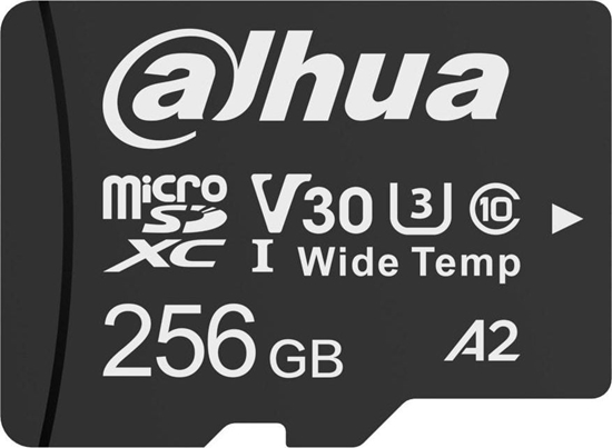 Picture of Karta Dahua Technology TF-W100 MicroSDXC 256 GB Class 10 U1 A2 V10 (TF-W100-256GB)