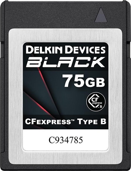 Изображение Karta Delkin Delkin CFexpress BLACK R1725/W1240 75GB