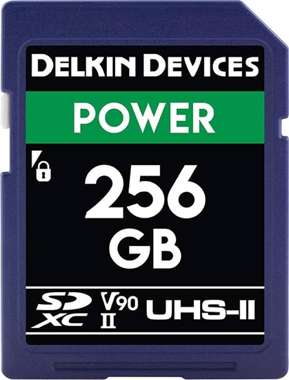 Picture of Karta Delkin Power 2000x SDXC 256 GB Class 10 UHS-II/U3 V90 (DDSDG2000256)
