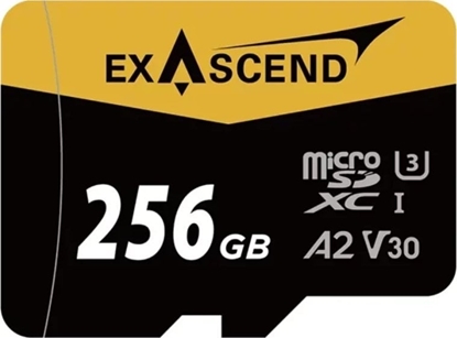 Picture of Karta ExAscend Catalyst MicroSDXC 256 GB UHS-I/U3 A2 V30 (EX256GUSDU1-AD)