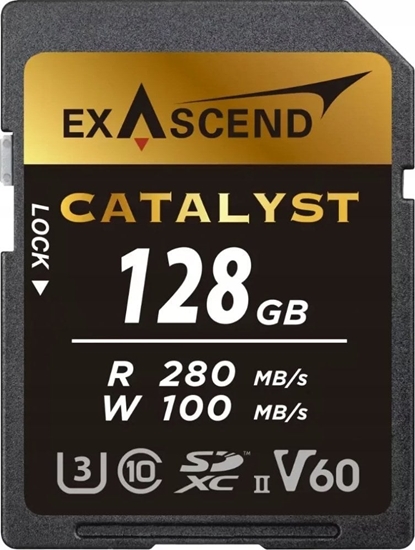 Picture of Karta ExAscend Catalyst SDXC 128 GB Class 10 UHS-II/U3 V60 (EX128GSDV60)