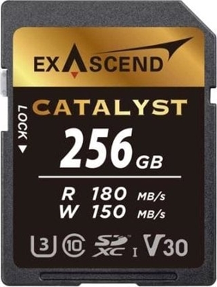 Picture of Karta ExAscend Catalyst SDXC 256 GB Class 10 UHS-I/U3 V30 (EX256GSDU1)